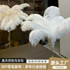 広い毛の太い棒の白いダチョウの羽の40-80cmの装飾材料の手作りのdiyの服装はダチョウの毛の卸売りを飾ります。