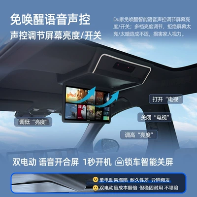 Car TV IdeaL L7/L8 SpeciaL Rear