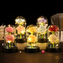 pɫõ[Сҹ愓[̨ledlY