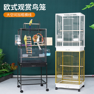 �S��ֱ�����N�����B�\ ����\ �๦��Ⱥ�B�\ �߼��B�e�����l