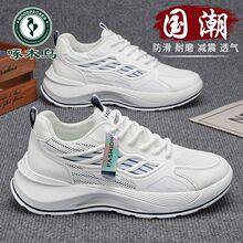 ��ľ�B�¿�2026��ɫ�\�����eЬ�ܲ����eЬ�п�ܛ�׳��p�����_����