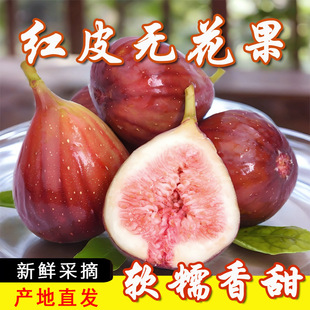 �tƤ�o������S���]�r���r��ˮ��5��a�جFժһ�������a��ֱ��