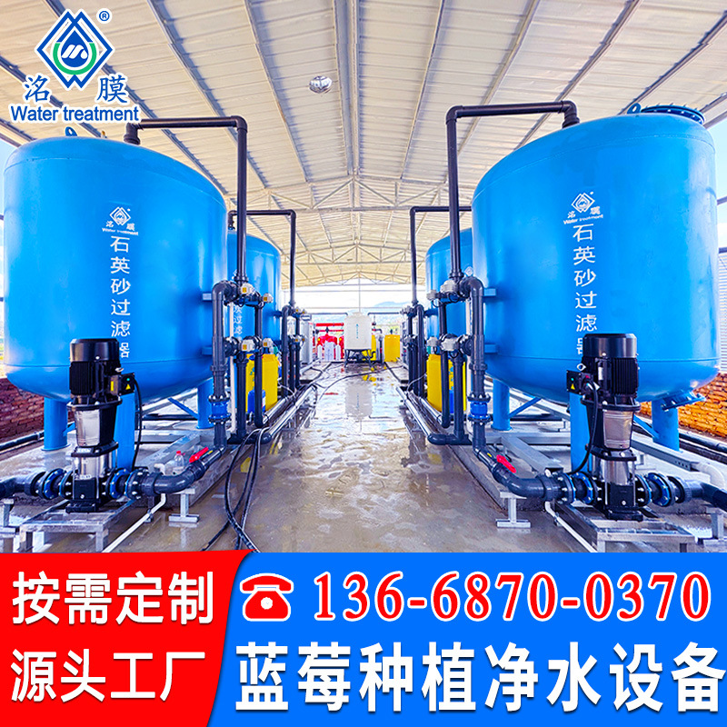 蓝莓种植用水净水设备反渗透RO纯水设备大棚蔬菜水果种植净水设备