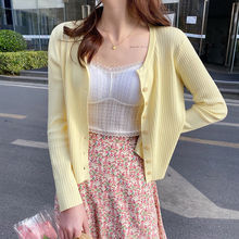 2023���＾�¿�V�Iᘿ��_�������L����񺆼s��������Ů�@��