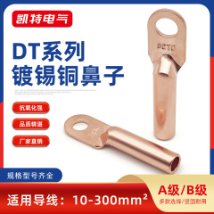 Dt銅鼻10-500平方紫銅閉口端子銅直接パイプライン耳電線ケーブル継手