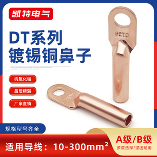 DT copper nose 10-500 square copper closed Terminal copper direct pipeline ear wire and cable joint