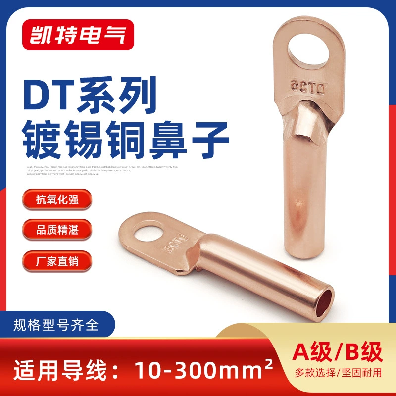 Медь носа 10-500 ДТ медная квадратная закрыла терминальные медные провод уха прямого трубопровода и соединение кабеля