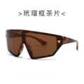 C2. Tortoiseshell Frame Brown Lens