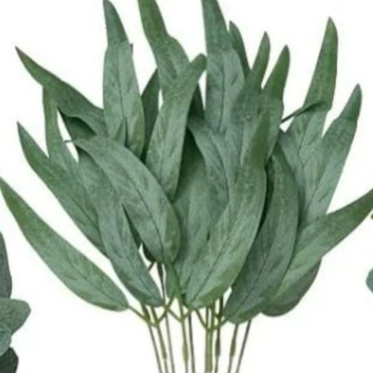 세 잎의 긴 버드나무 잎