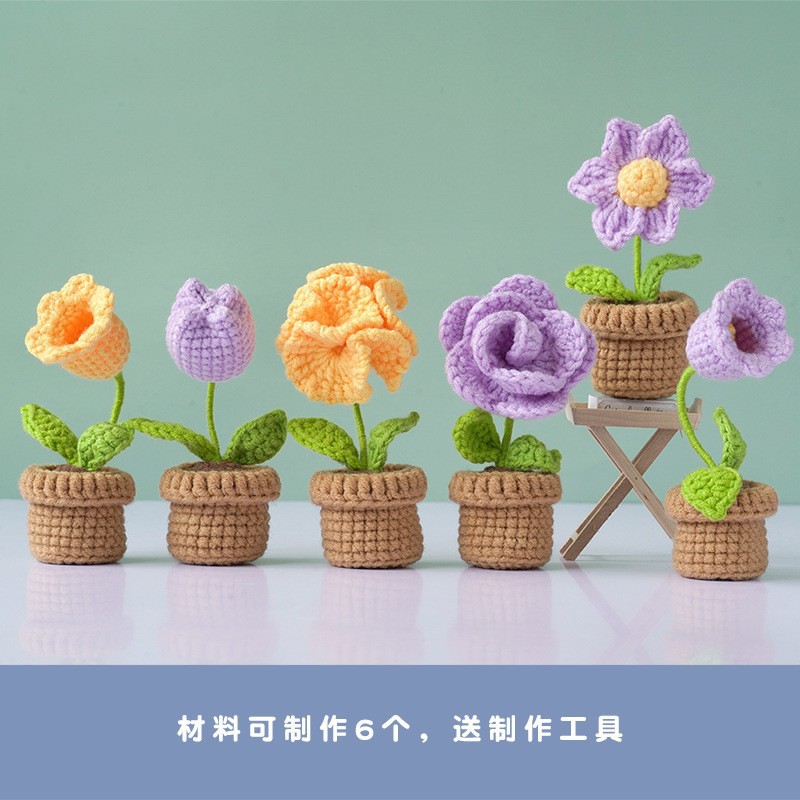 M21 small potted plant-purple