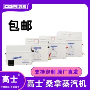 Household Sauna Steam Machine Sauna Room Steam Machine Bathroom Steam Machine Fumigation Machine Sweat Steamer Steam Generator