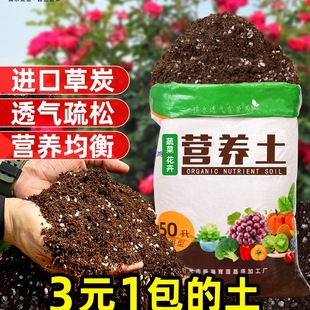 ����I�B���N���B��ͨ���ͷNֲ������͸��N���������������Ҿ²�