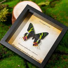 ��G��������˱�ľ�|߅��DIY�b��͹����[̨�Ҿ��Ʒ�ͶY��