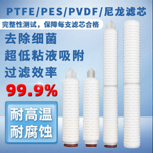 10/20/30/40寸聚醚砜PES折叠滤芯实验低扩散流液体医药除菌级过滤