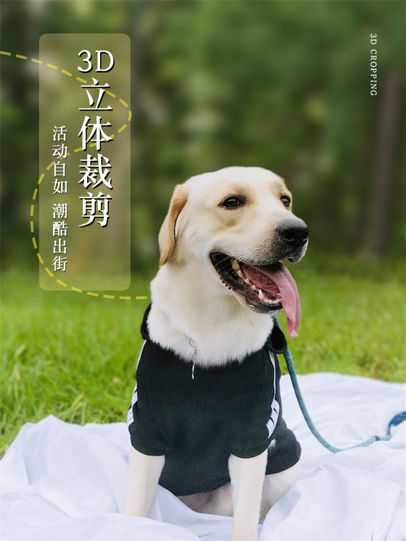큰 개 개 옷 가을과 겨울 새 래브라도 황금 리트리버 국경 동물 축산 차이 개 중간 애완 동물 따뜻한 겨울 옷