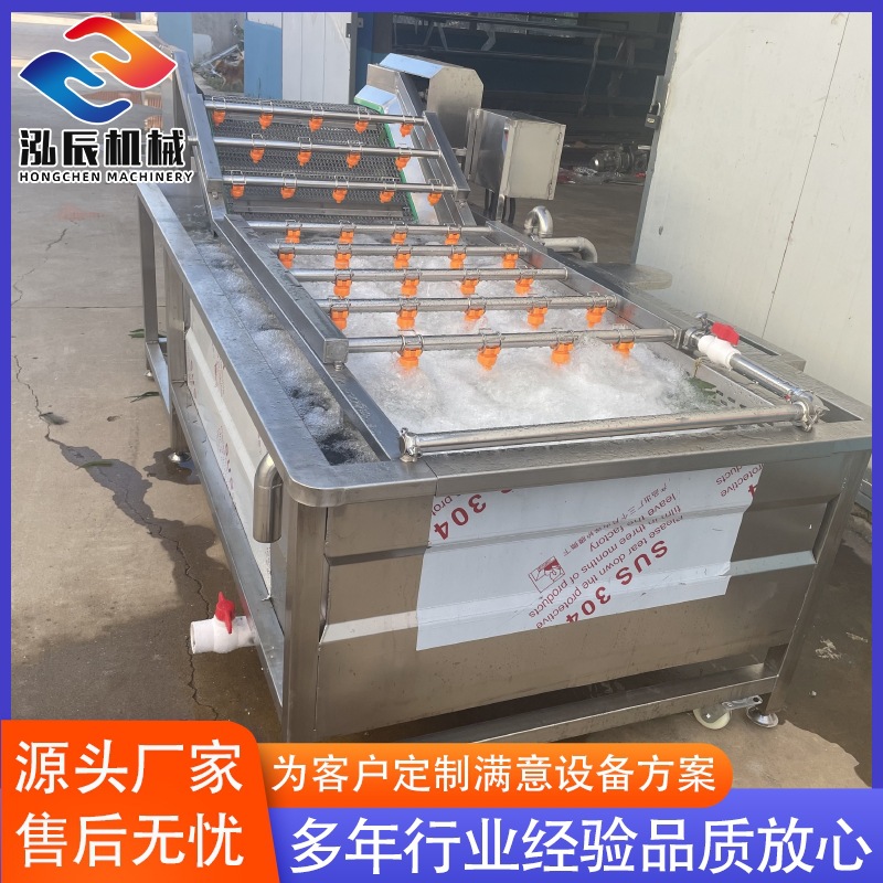 厂家供应冲浪式气泡清洗机 高压喷淋气泡清洗机 果蔬气泡清洗机