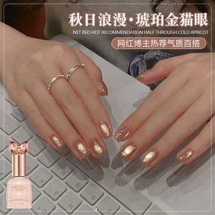 ����Ԋ������؈��ָ�����z2026�ﶬ�¿��@�׾I��������؈������