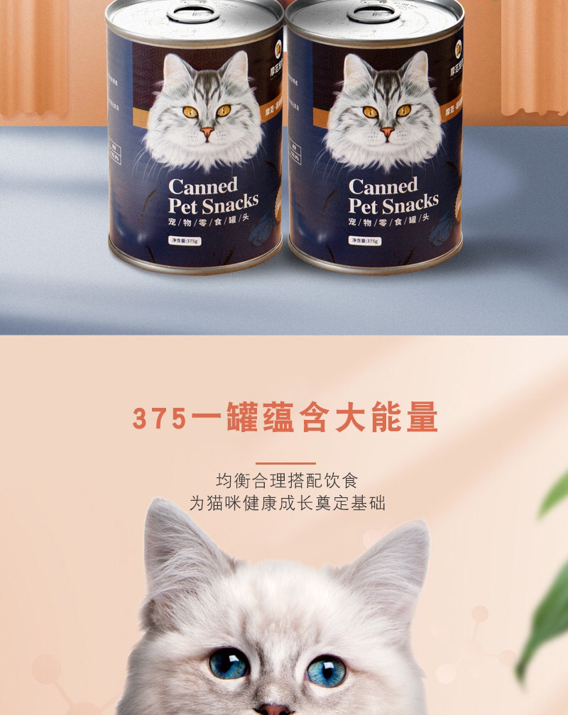 cc6c5446-1d9a-4eb6-881d-e3f3256dfd04.jpe