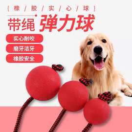 狗狗实心玩具球 弹力耐咬磨牙橡胶球 宠物用品训练球穿绳球批发