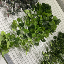 5�溣�ĵعϱڒ� ����ֲ��ٻ��ٗl�����Gֲ����͏d�҃ȾG�}���m