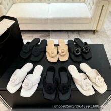 ߶2025¿СLƤ^ɽ軨ƽװٴrЊA_Ь