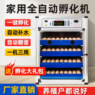 Free Shipping Incubator Fully Automatic Household Smart Chicken Incubator Small and Medium-Sized Rutin Chicken Egg Incubator Egg Incubator