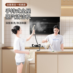 跨境手持高温高压蒸汽清洁机家用空调厨房油烟机油污清洗机消毒机