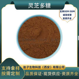 灵芝多糖灵芝提取物水溶性灵芝粉现货包邮量大从优