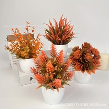 �＾�¿����Gֲ��ɫ���������ȼ����������컨С�辰�҃��b[