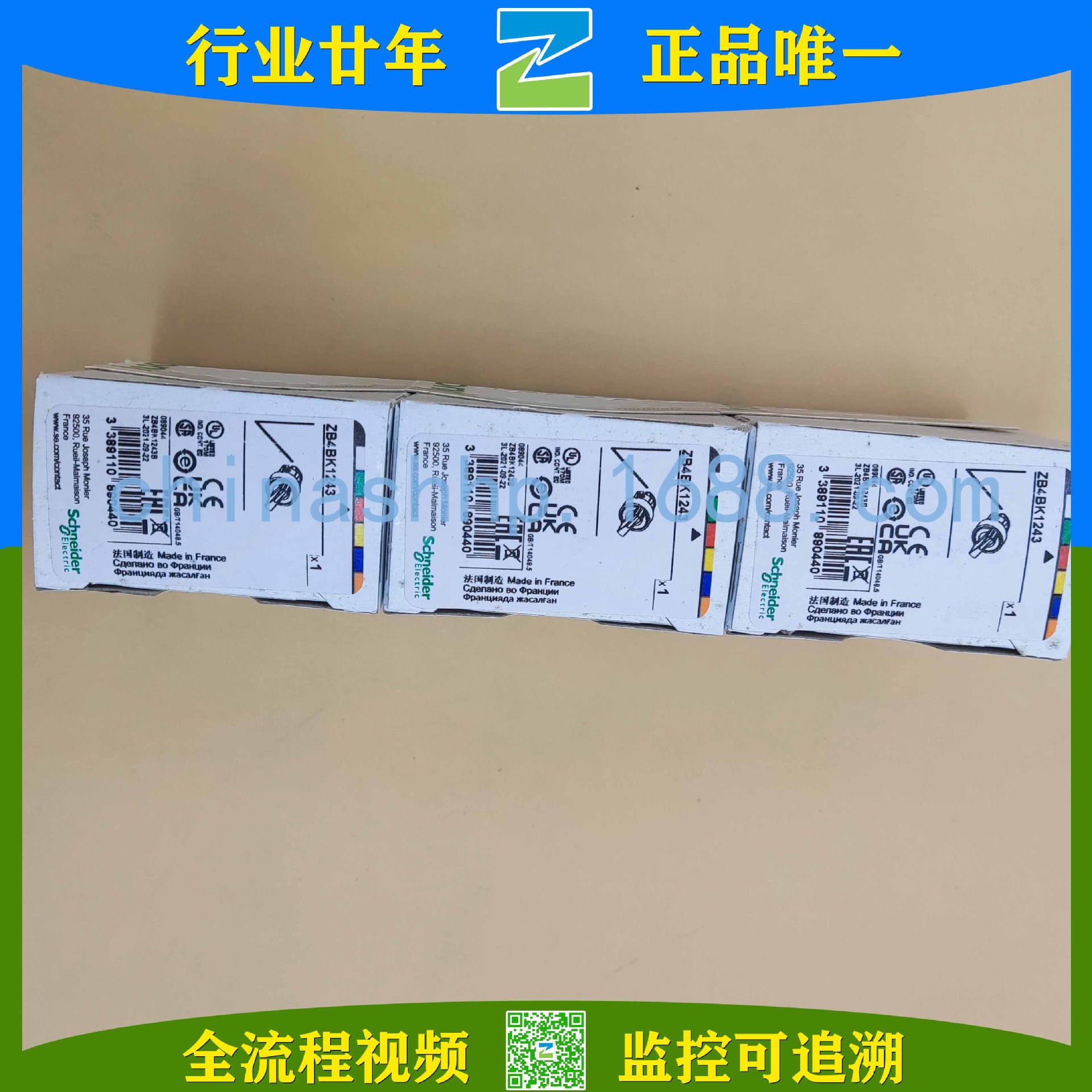 Schneider-带灯选择开关头 ZB4BK1243