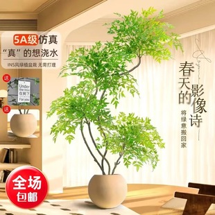 ��������������ֲ��������҃ȿ͏d����辰[������Gֲ