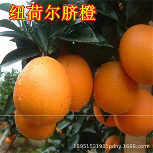 ���d���ǳ��� ���Ǹ̼޽ӳ����� �������箔��Y�����Ե�����Ș�