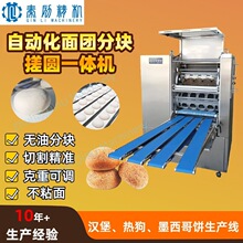 �؄�����ĵ�����F�։K�L�A�C �h���z�^���a�� �и׼QLDR-4
