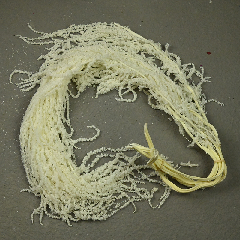 Flores fantasmas colgantes de arroz flor inmortal Juliet Amantes lágrimas colgantes de flores de decoración de bodas flores verdaderas