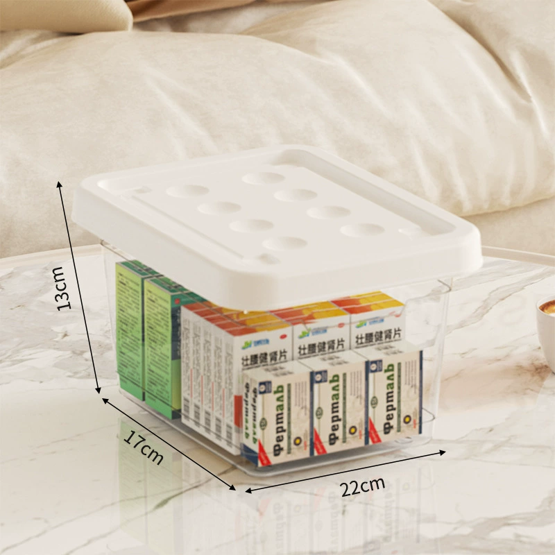 Handheld Storage Box, Extra-Large 3-Layer Portable Organizer with Transparent Lid