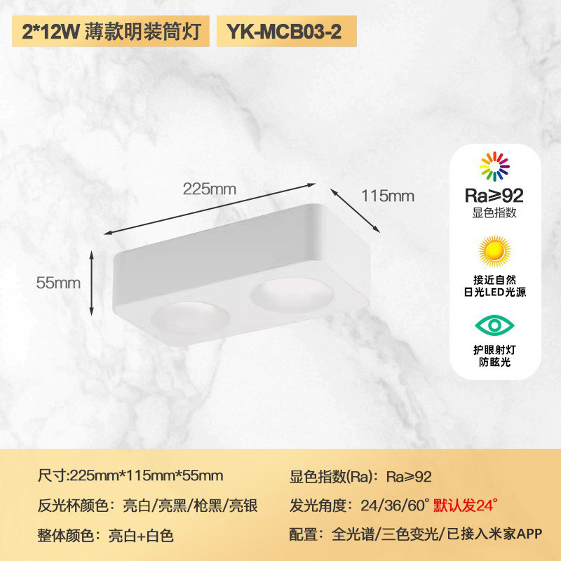 Double head 24w (all white model)