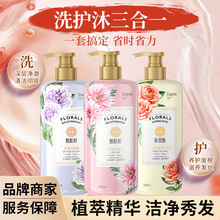 批发烟酰胺洗发水沐浴露护发素控油蓬松持久留香国货老牌一件起批