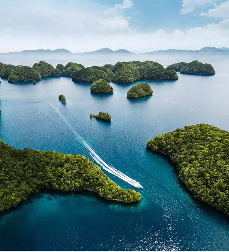 即食燕窝系列1688详情页_05