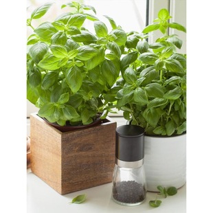 _շNļ̨߲˷Nә_㻨ӷNѴ~Ō_