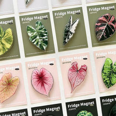 植物冷蔵庫マグネット、珍しいモダンでクリエイティブな緑の植物冷蔵庫マグネット、磁気装飾、文化的で創造的なお土産冷蔵庫マグネット卸売