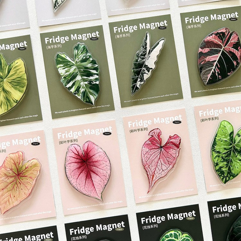 植物魔法の冷蔵庫マグネット、珍しい植物、創造的な緑の植物冷蔵庫マグネット、装飾的な文化的で創造的なお土産冷蔵庫マグネット卸売|undefined