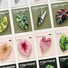 植物冰箱贴珍稀现代创意绿植冰箱贴磁吸装饰文创纪念品冰箱贴批发