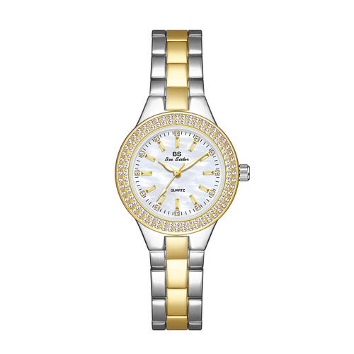 BS new hot-selling watch manufacturer direct sales foreign trade chain watch full diamond women's watch one piece FA1258 large size 3.5