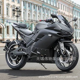 电动摩托车;两轮摩托车