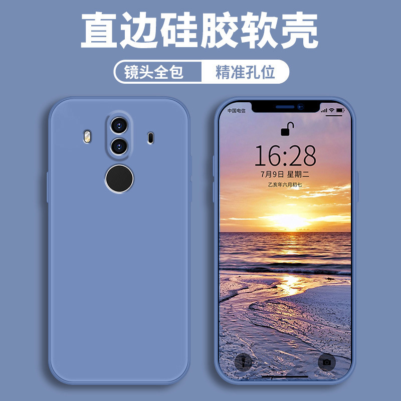 Lavender gray-naked shell