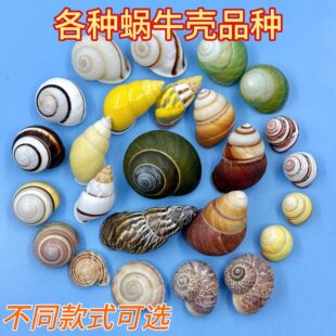 ��Ȼ����΁ţ��ؐ����ˇƷdiy�Ĳļľ�з�ݚ����μo��Ʒ�~���b�