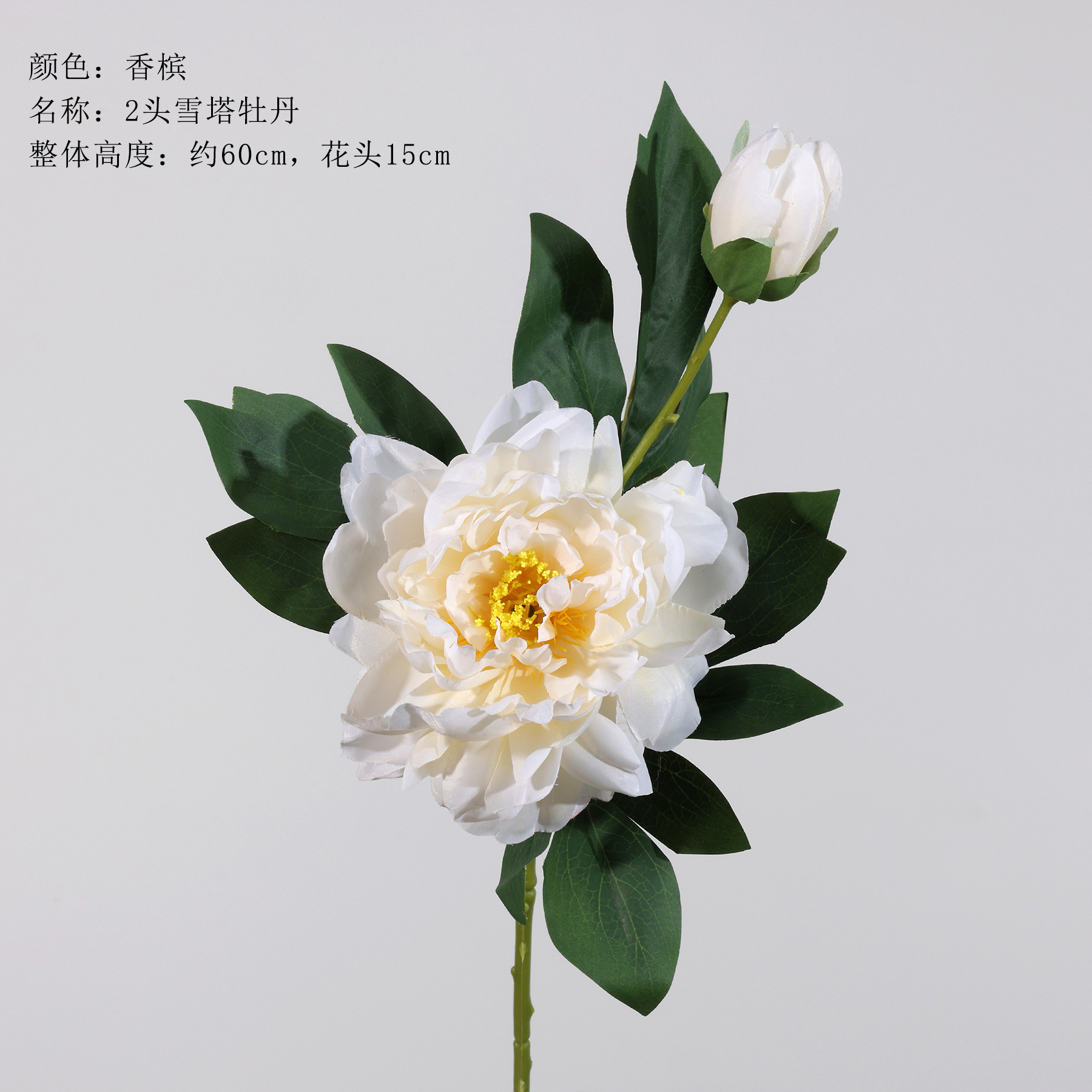 스노우 타워 모란 2개 - 샴페인