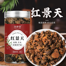 �t�����B�������l���l�t��������B����t����