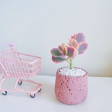 ����֮�����ֲ����R��ɫ���������̨���B���־Gֲ�҃Ȼ�������