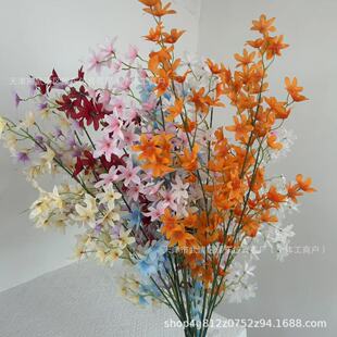 �����m���滨��Y��c�F�������b����Ҿӻ�ˇ�[�O